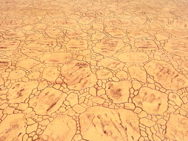 Stamped Concrete Flooring-3