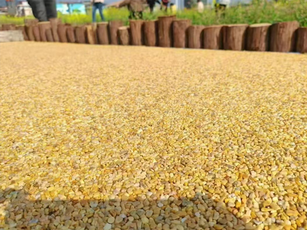 Exposed Aggregate Concrete-2